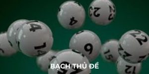 Bạch thủ đề là gì và có gì hay