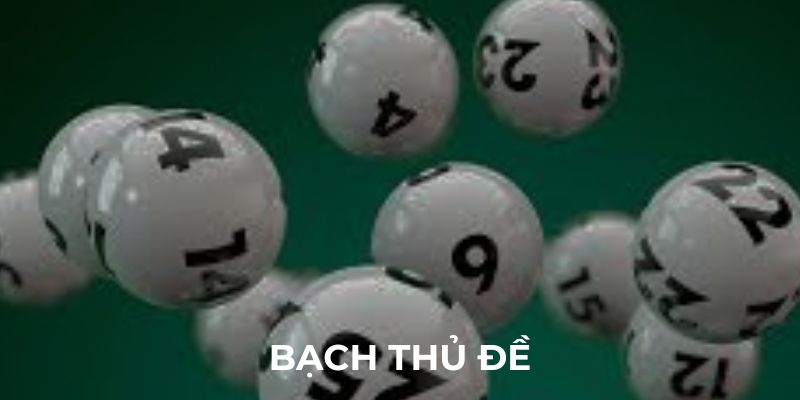 Bạch thủ đề là gì và có gì hay