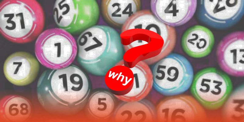 Vì sao chọn Rongbachkim là nơi gắn bó lâu dài