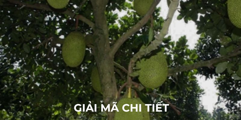 Giải mã chi tiết về giấc mơ thấy cây